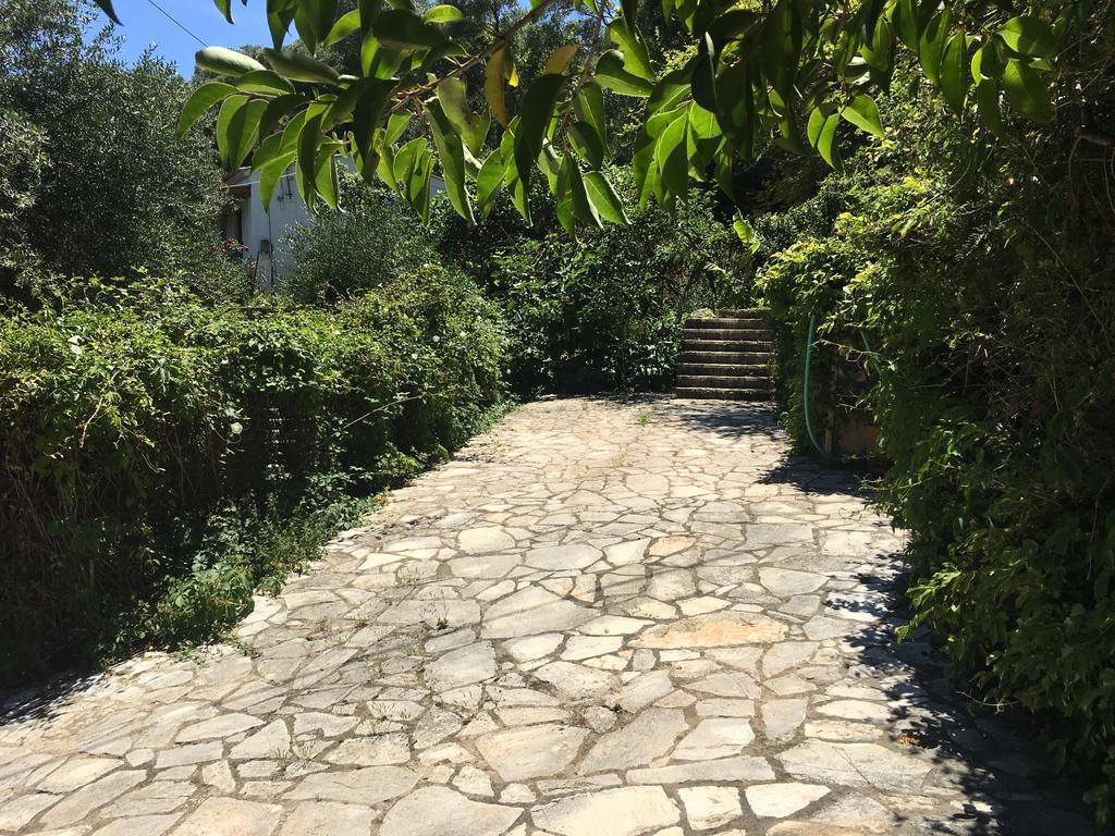 Dream View Villa Benitses  Exterior photo